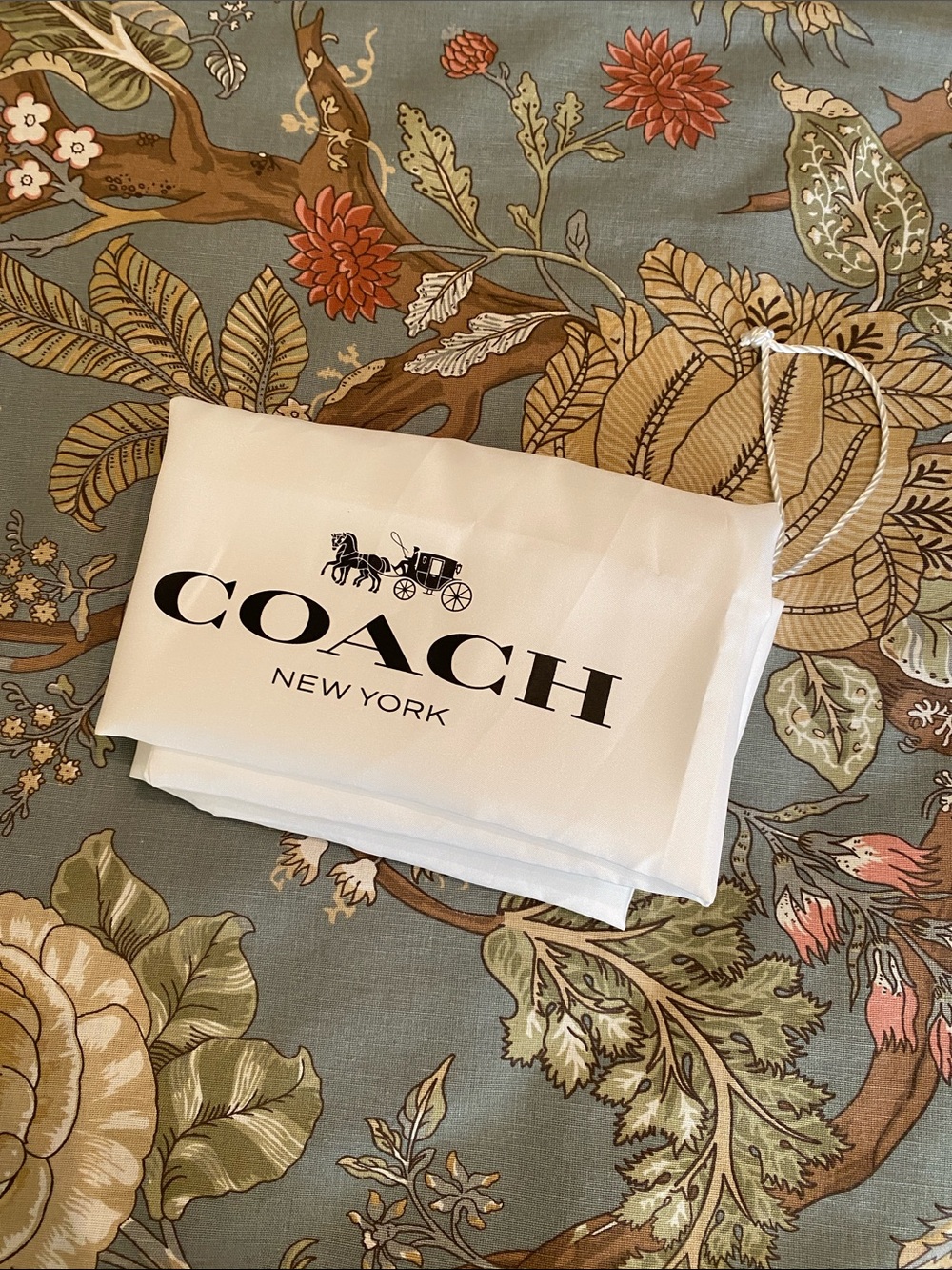 23x19 COACH White Satin Drawstring dust bag